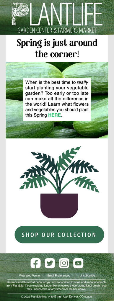 Marketing &amp; Creative Director