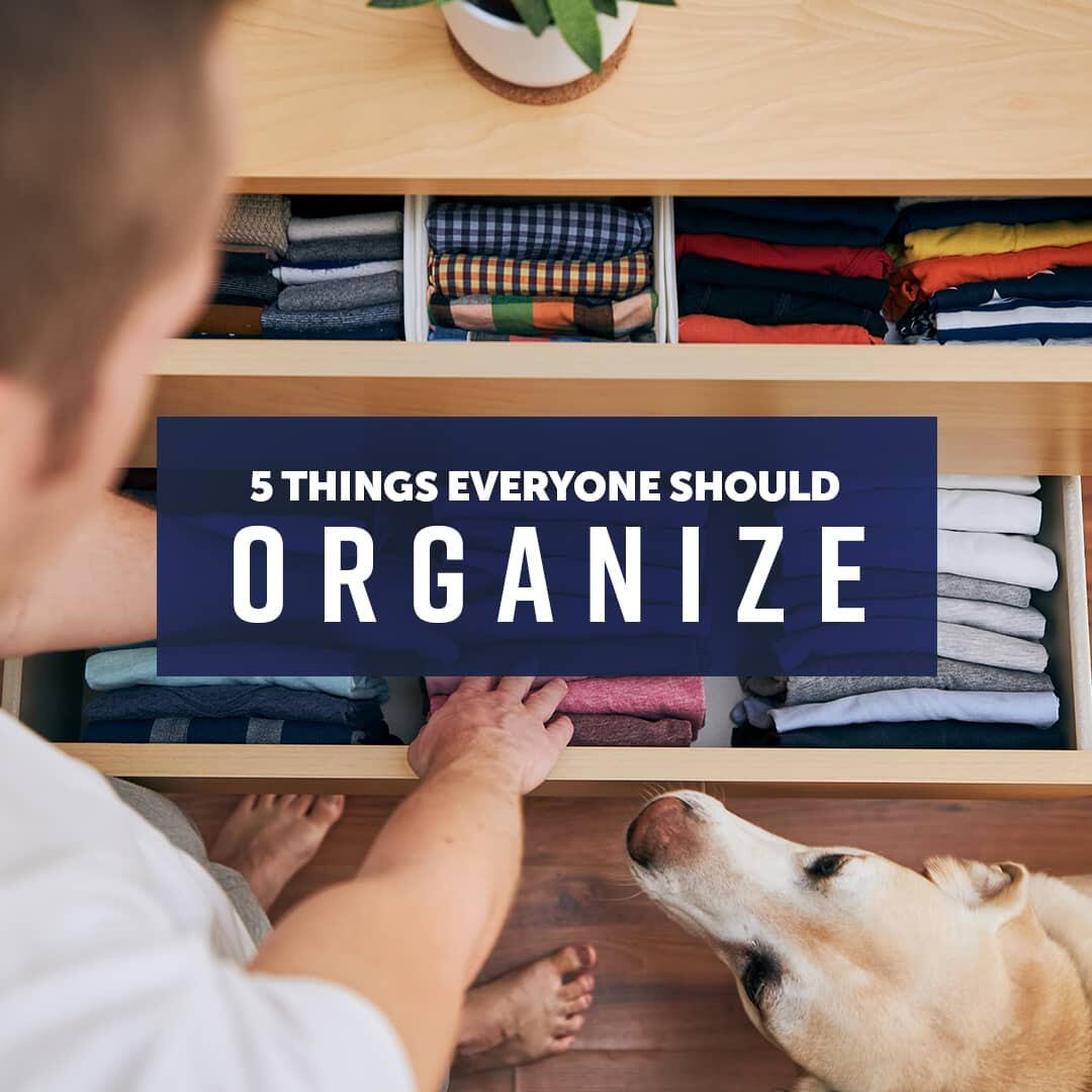 Brand Identity Designer