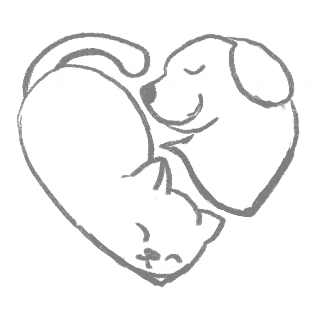 Brand Identity | Freelance