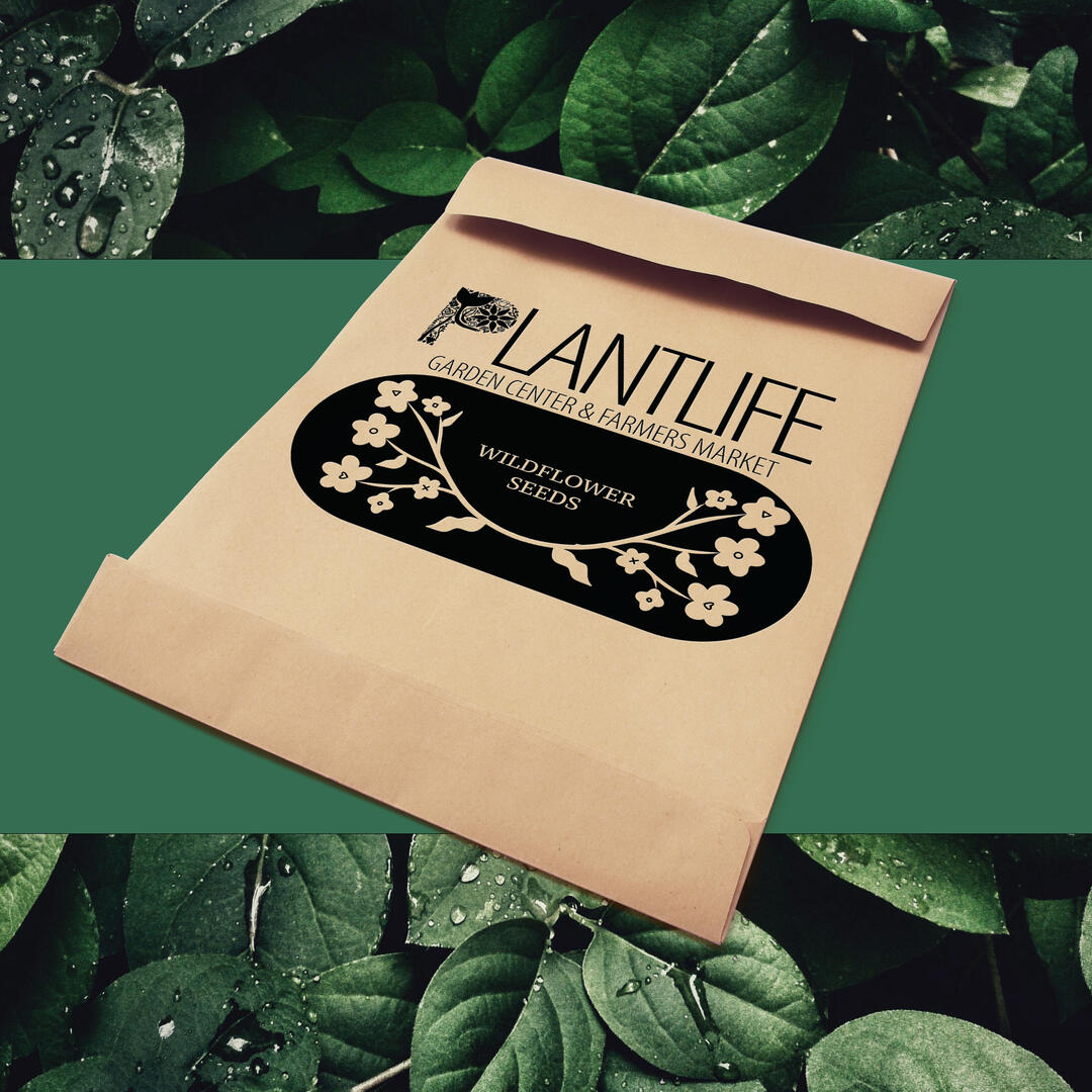 Marketing &amp; Creative Director