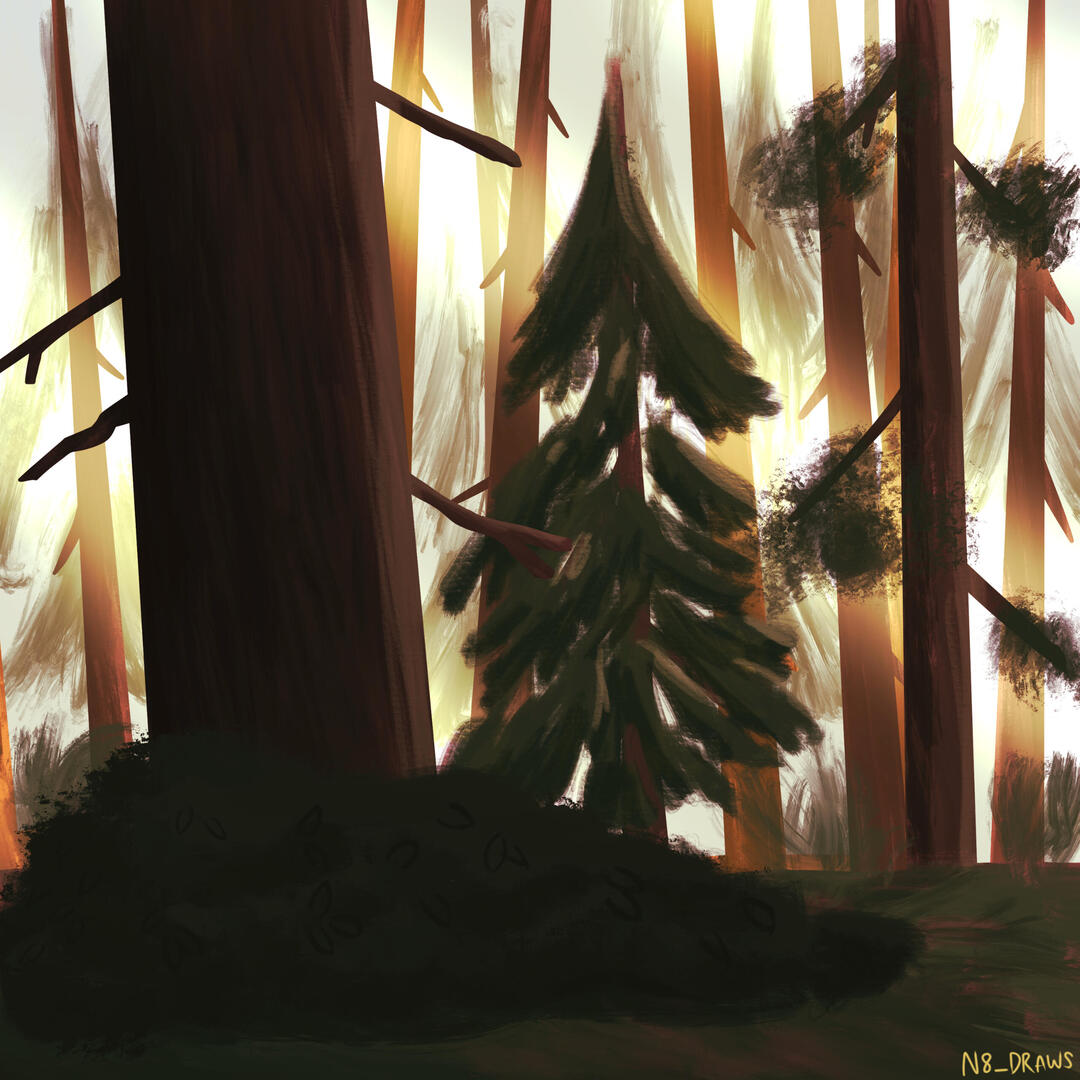 freelance illustrator nate raia